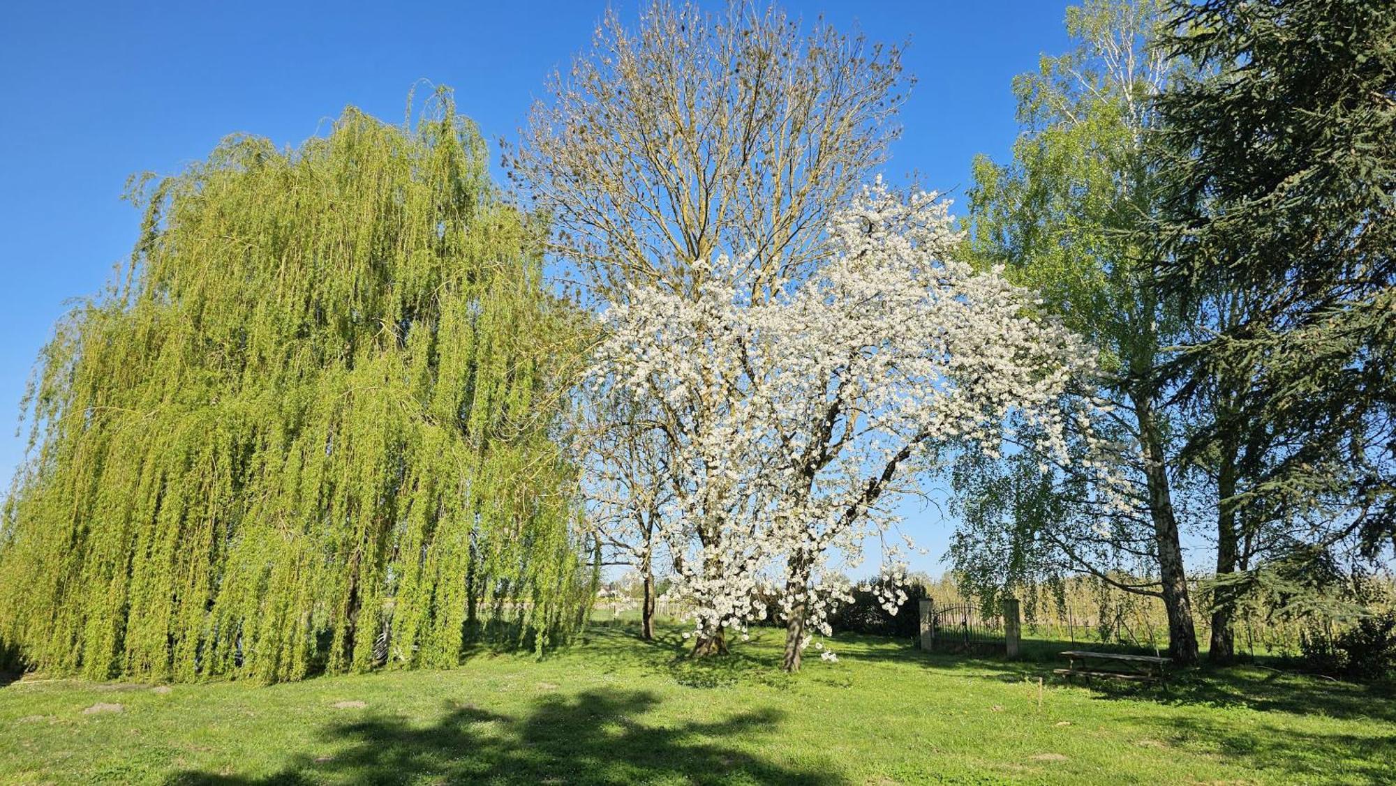 Domaine Des Moizons, Le Figuier Apartamento Villebernier Exterior foto